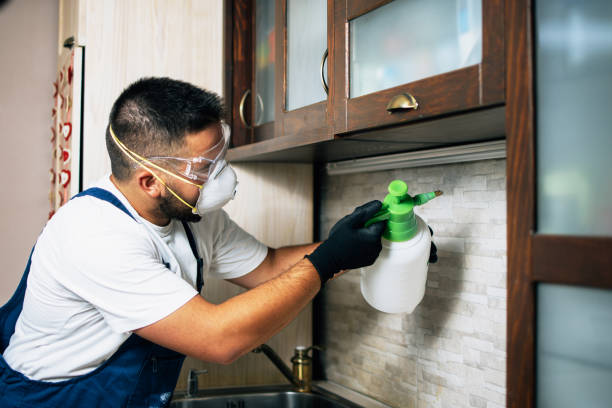 Best Ant Control Services  in Glendale, WI