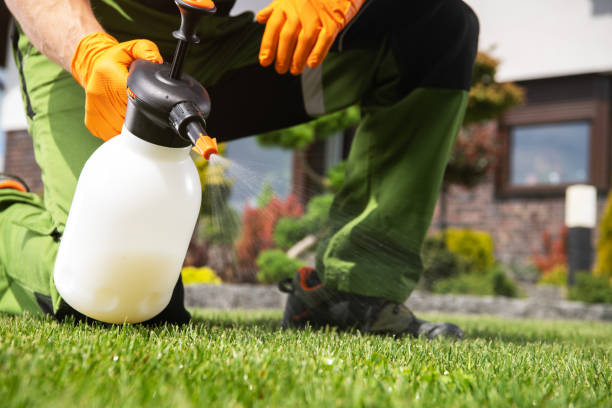 Best Insect Control  in Glendale, WI