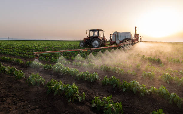 Best Commercial Pest Control Services  in Glendale, WI