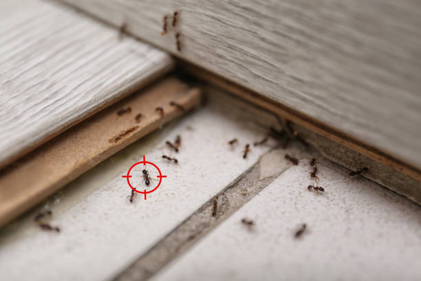 Best Pest Control for Homes  in Glendale, WI