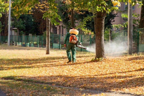 Spider Control Near Me in Glendale, WI