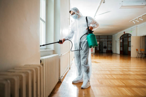 Best Termite Control Services  in Glendale, WI