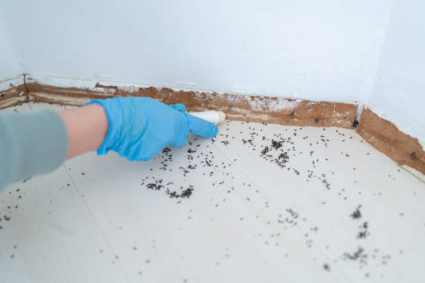 Best Emergency Pest Control  in Glendale, WI