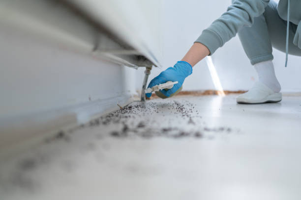 Best Mosquito Control Services  in Glendale, WI