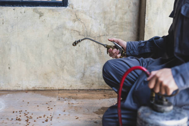 Best Pest Removal Services  in Glendale, WI